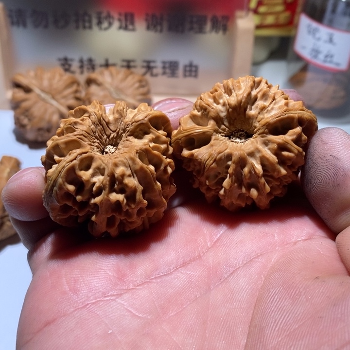 吊坠星月菩提:，，，，，，，，，，，，，，，，，，，，，，，，，，，，，，，