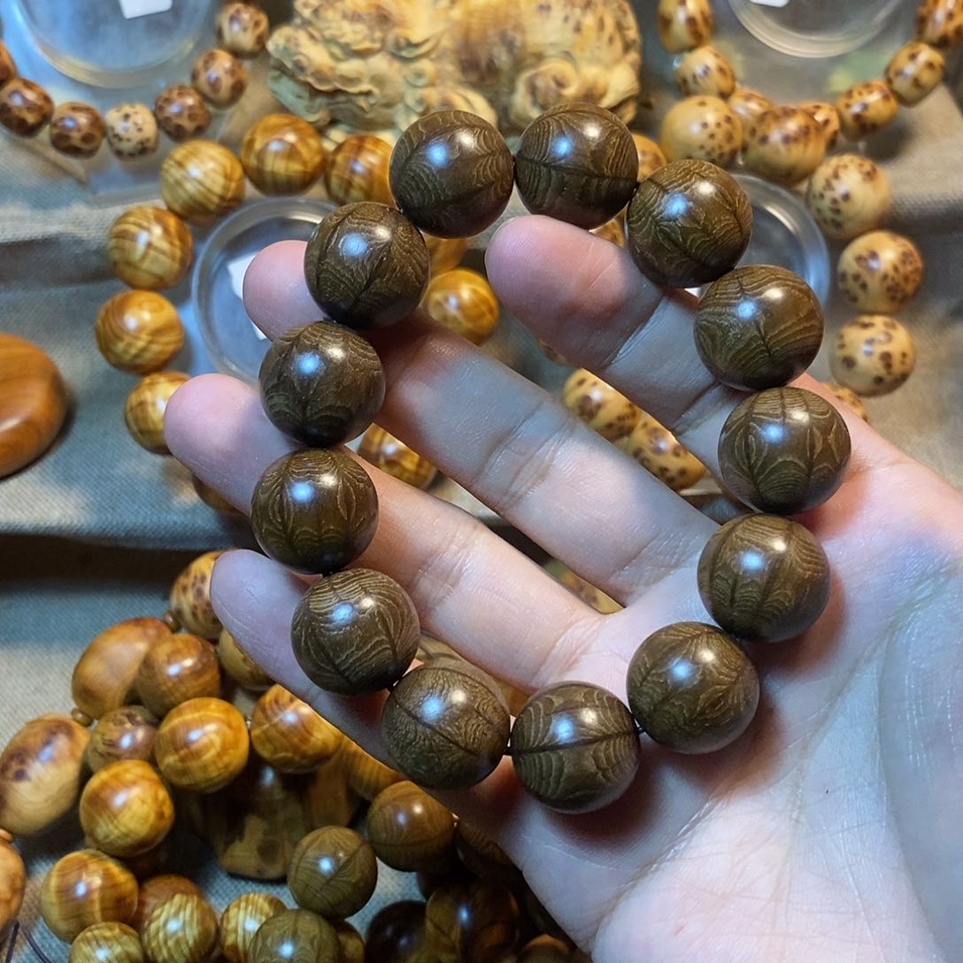 六道木六道木1.8……………