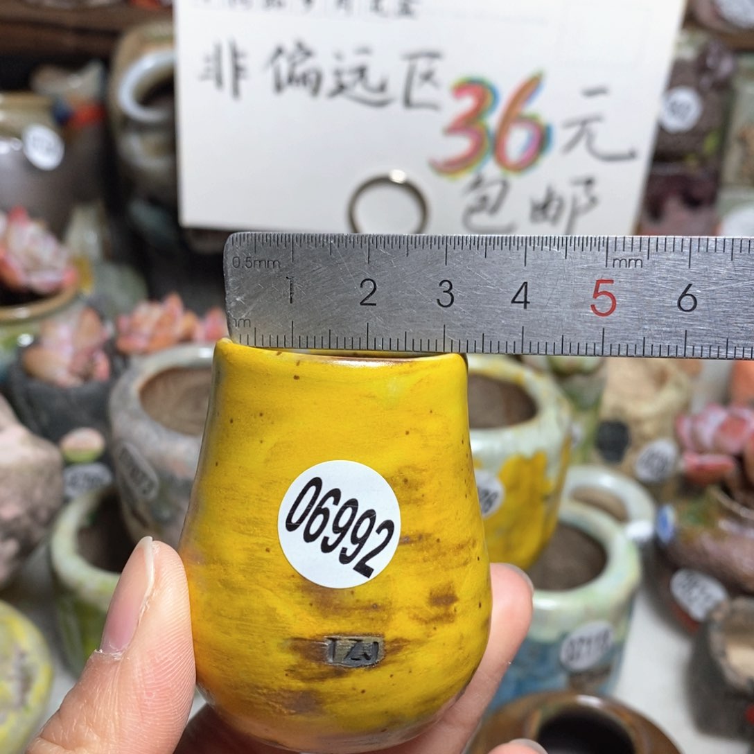 花盆拍5送一个小礼物