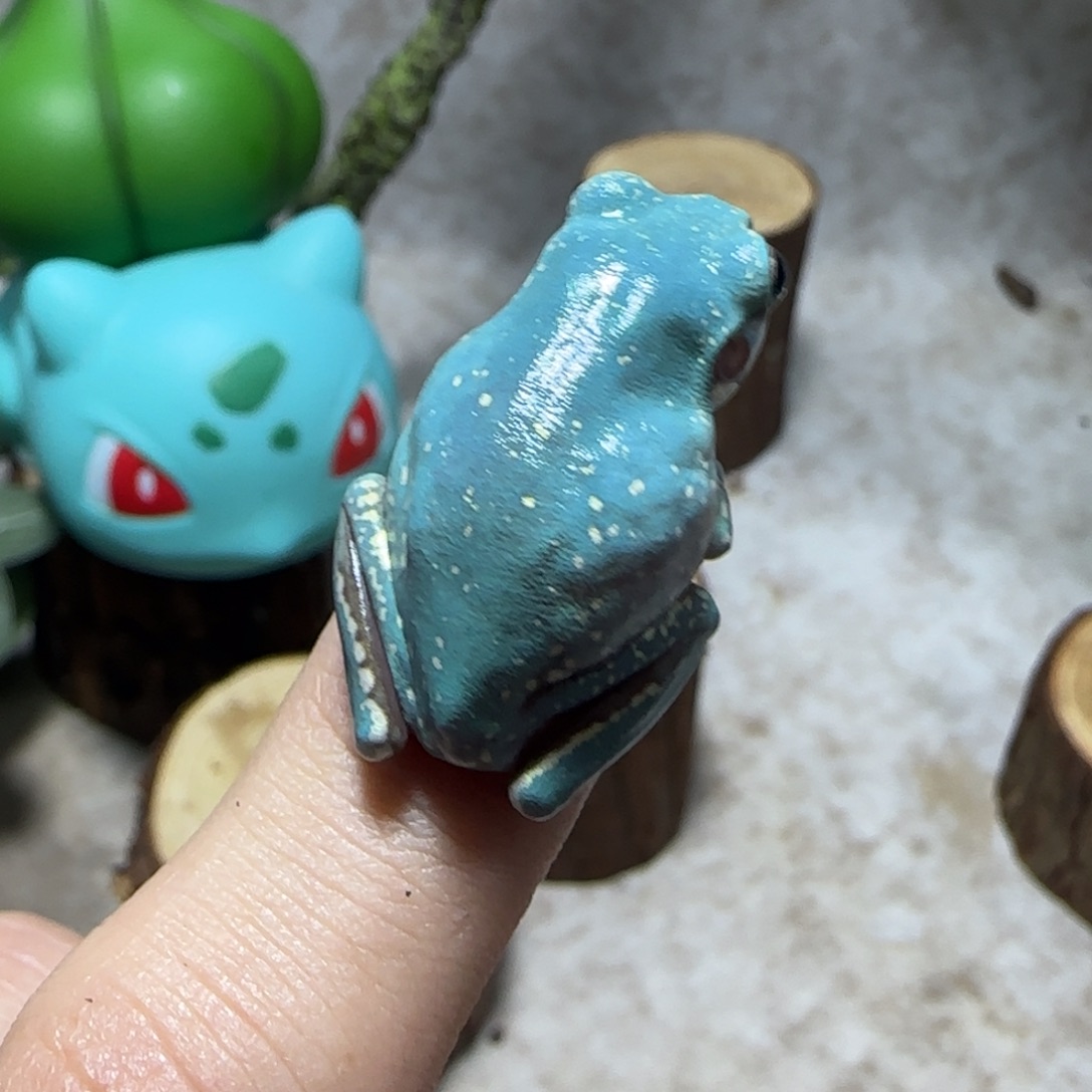 老爷树蛙5 魔鬼蓝微雪