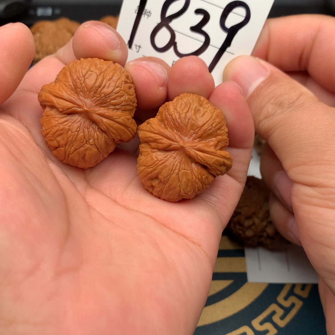 文玩核桃把件35.5全品元宝839