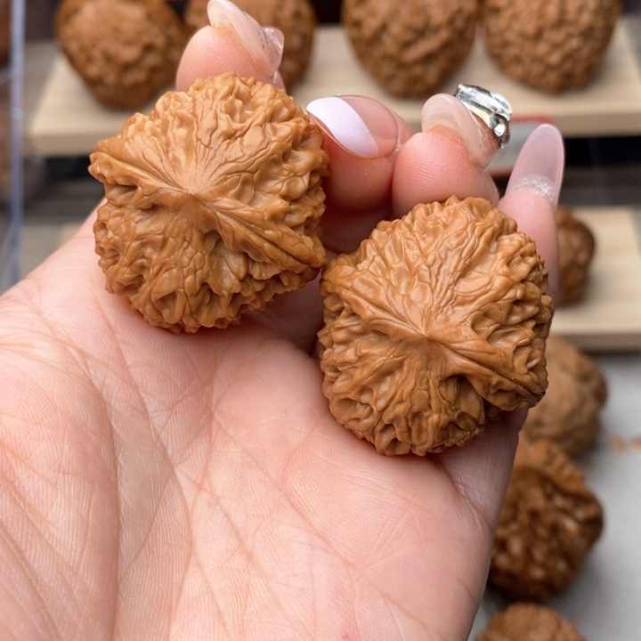 核桃把件龙眼元宝