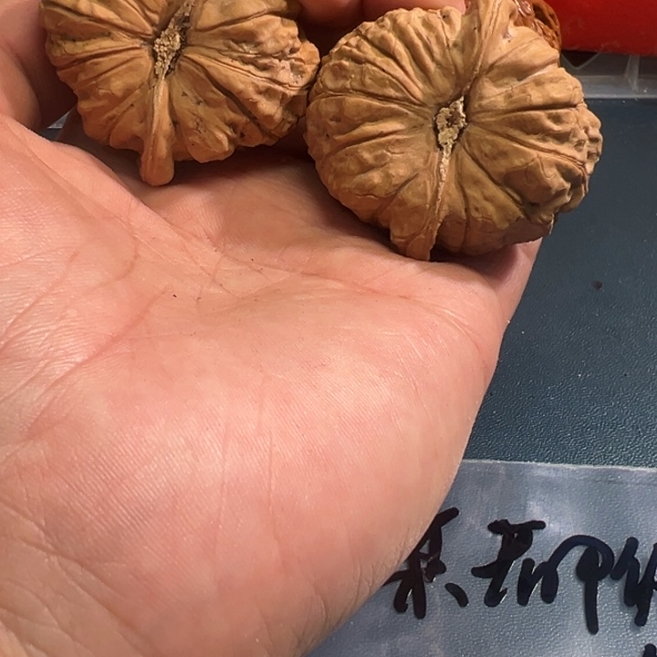 温***你大叶紫檀（黑酸枝木类）