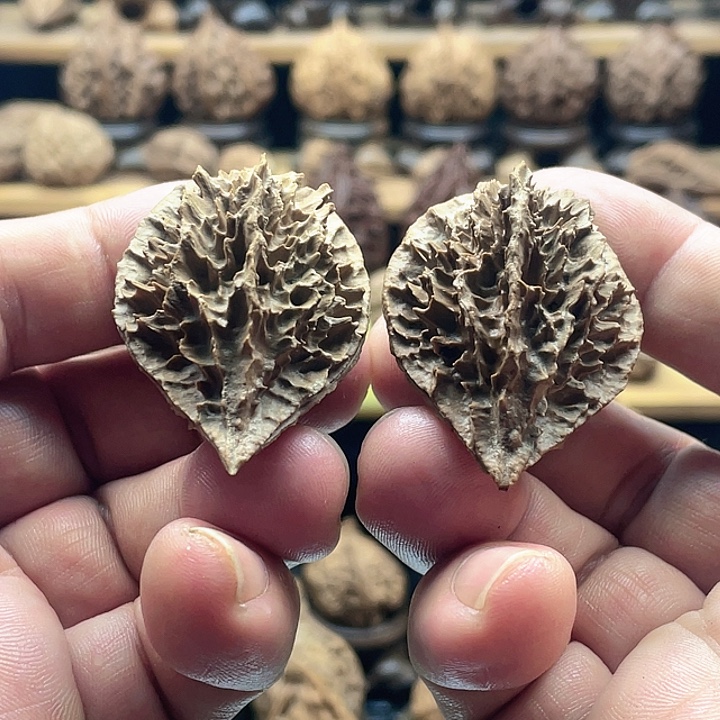 把件文玩核桃刺背龙脊7