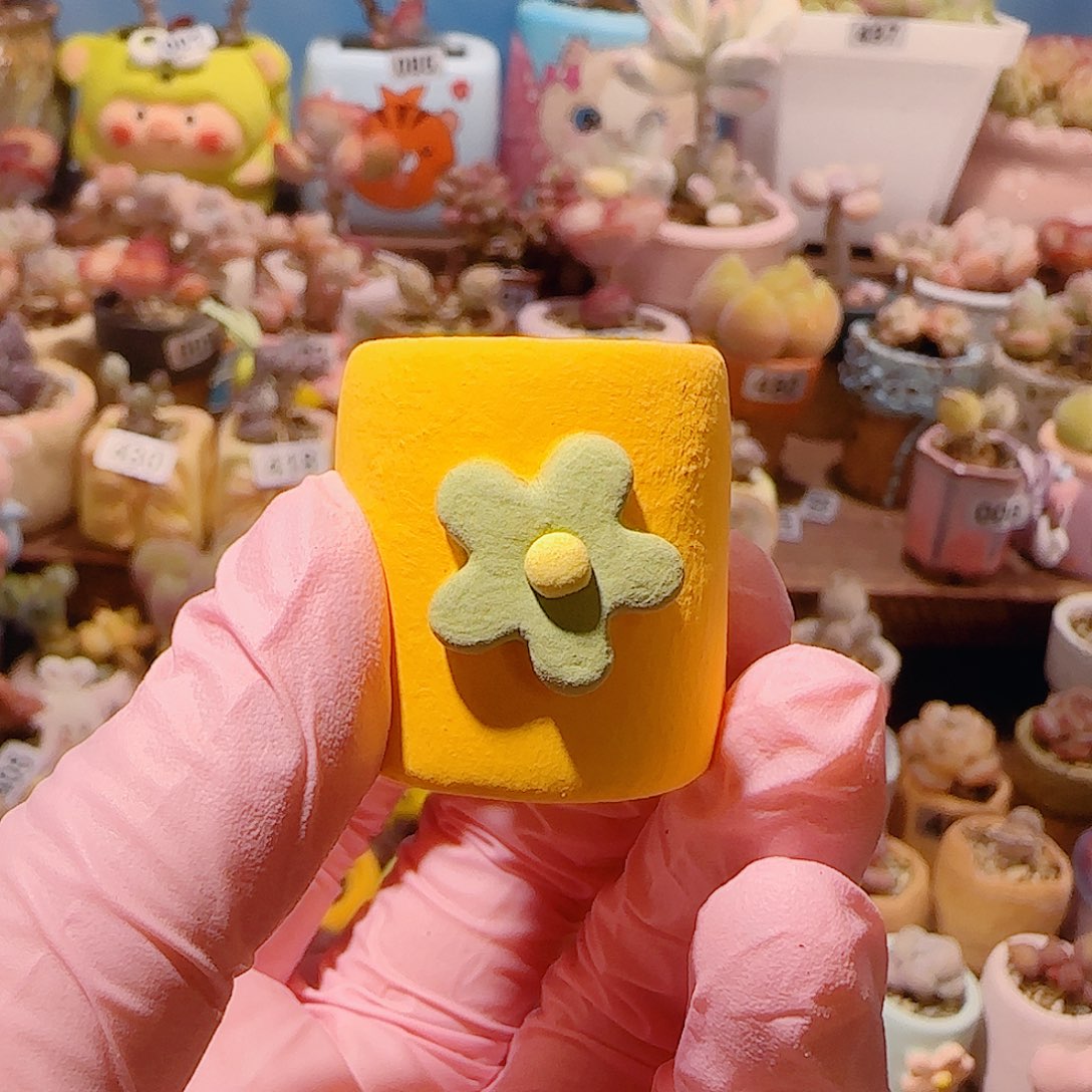 乔***儿T小花盆种海豹盆口2cm