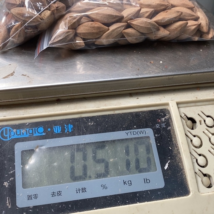 吊坠橄榄核虎**包橄榄油可以