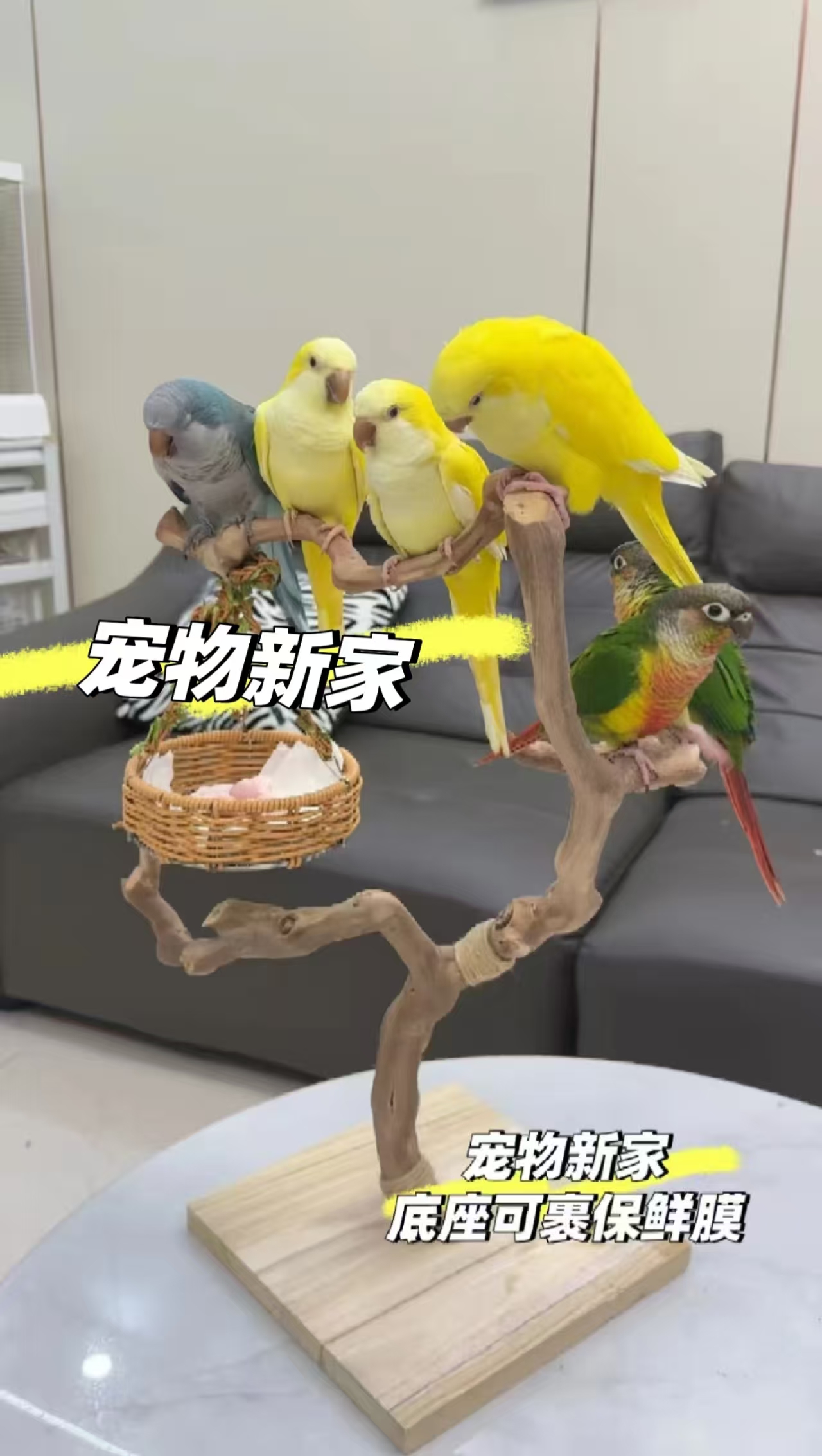 鹦鹉葡萄木玄凤鸟站杠磨爪棒磨嘴磨牙棒站棍站台鸟具攀爬秋千架