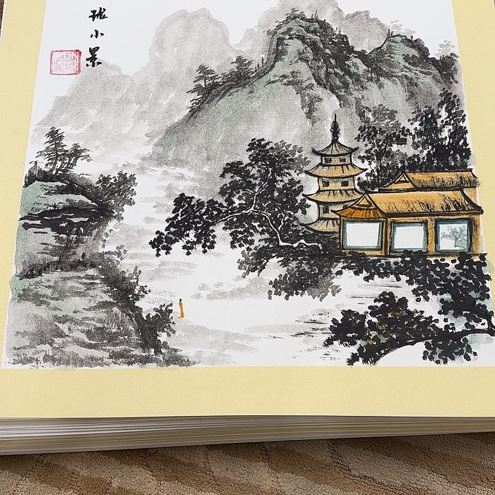国画花鸟的翅膀和翅膀都是白色
