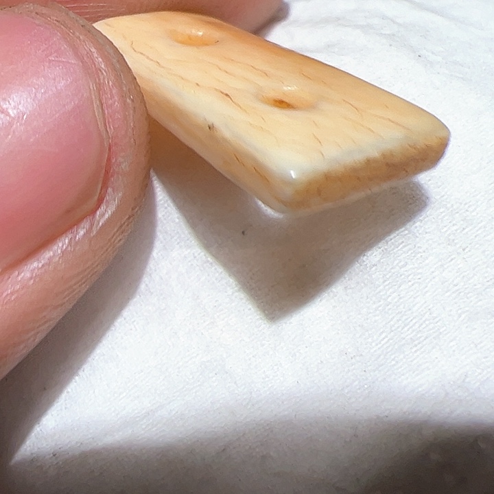 香榧木你的时候你