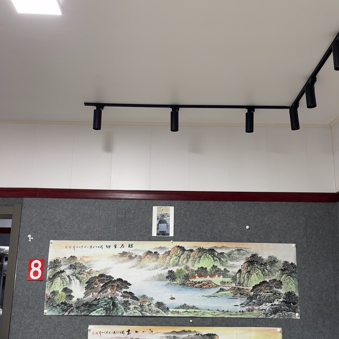 国画用****7八尺对开画芯 捡漏
