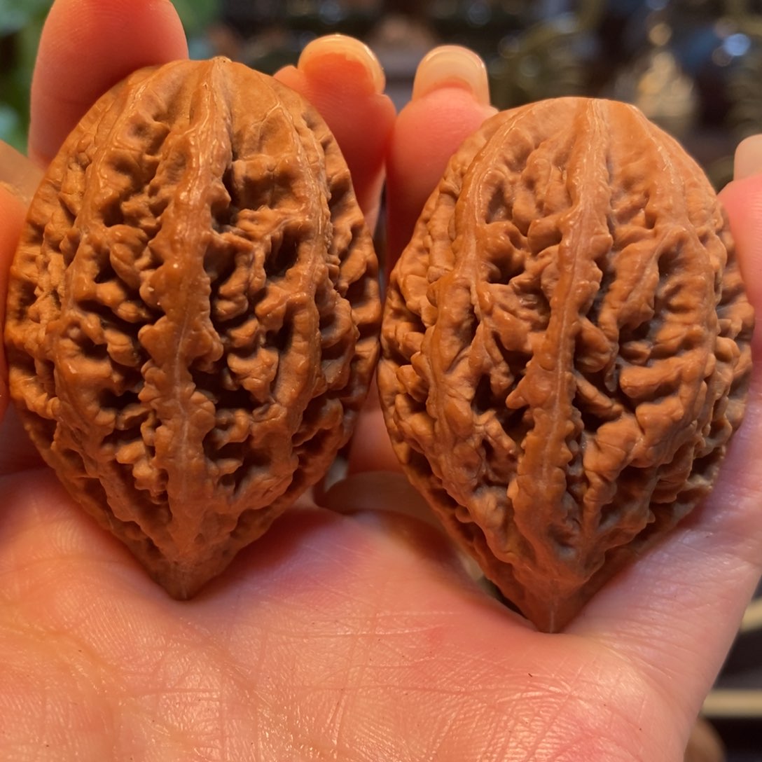 文玩核桃吊坠蚂蚁王35