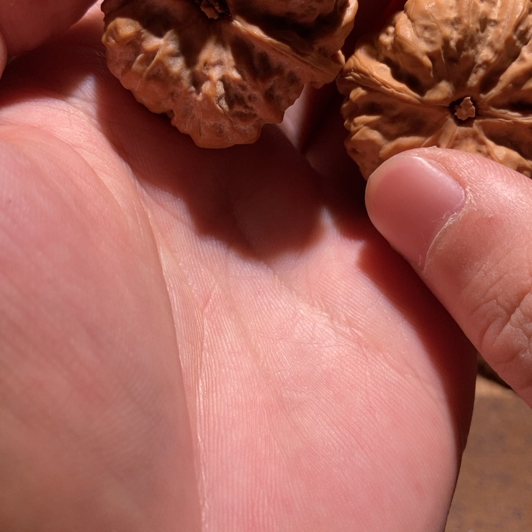 H***g吊坠文玩核桃蛤蟆头D09