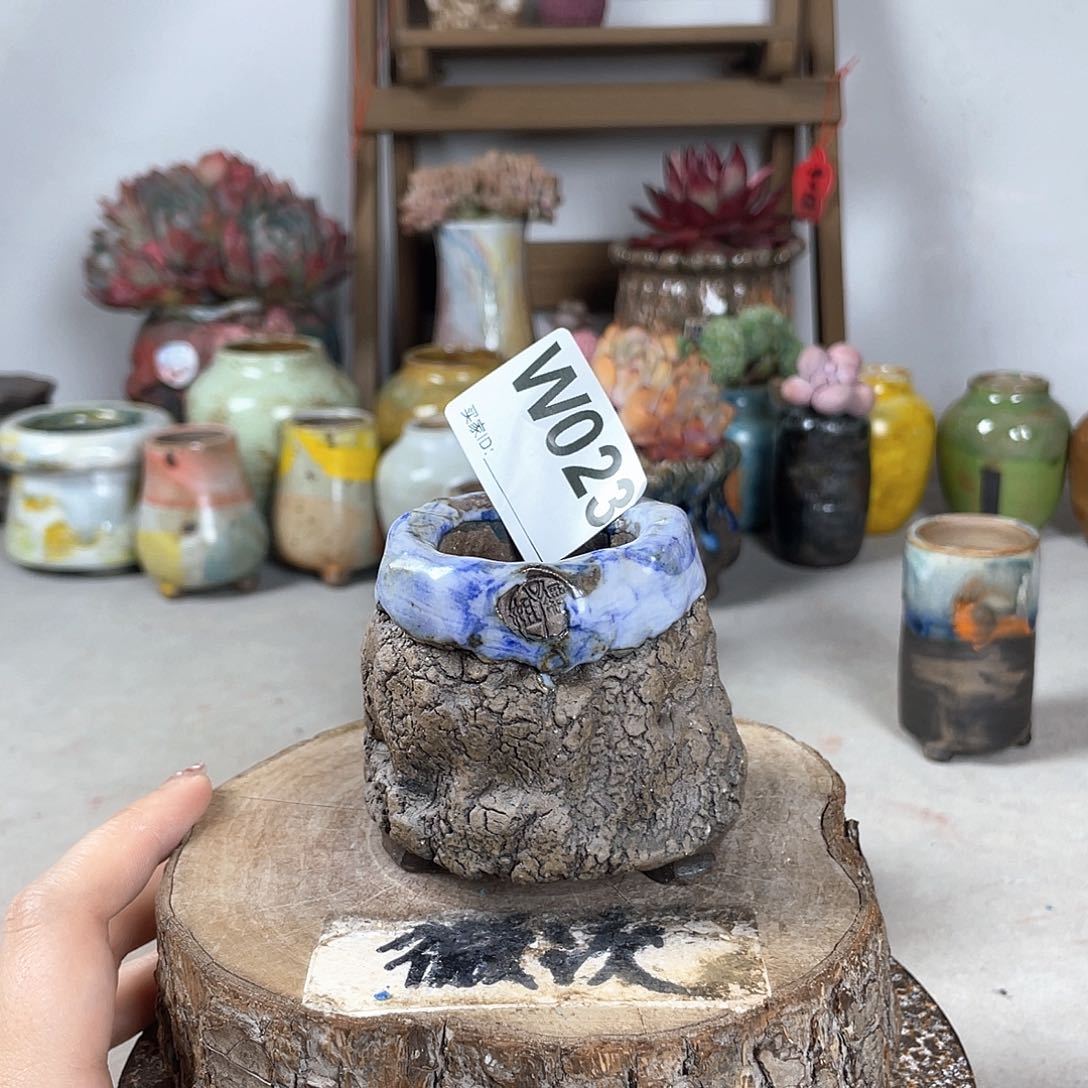 紫砂花盆开播福利 陶瓷花盆