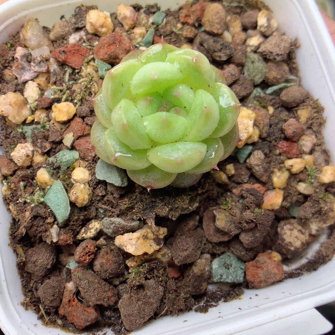 W11y y y y y y y y y