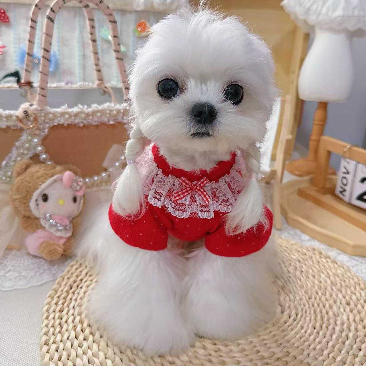 新款宠物服银闪闪中国红打底衫