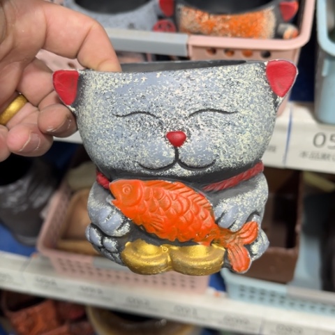 ［所有订单凑满15明天发］8×8