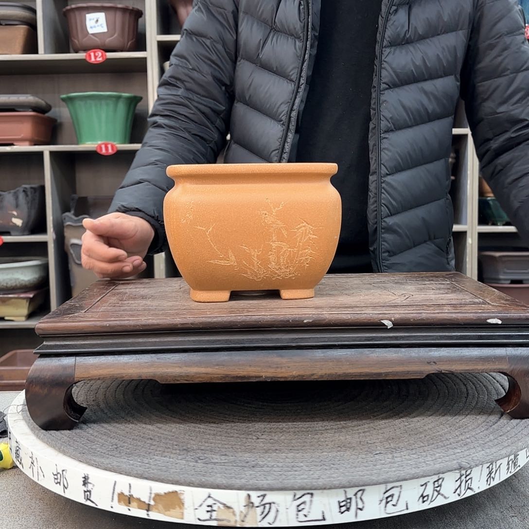 紫砂花盆紫砂的花也太