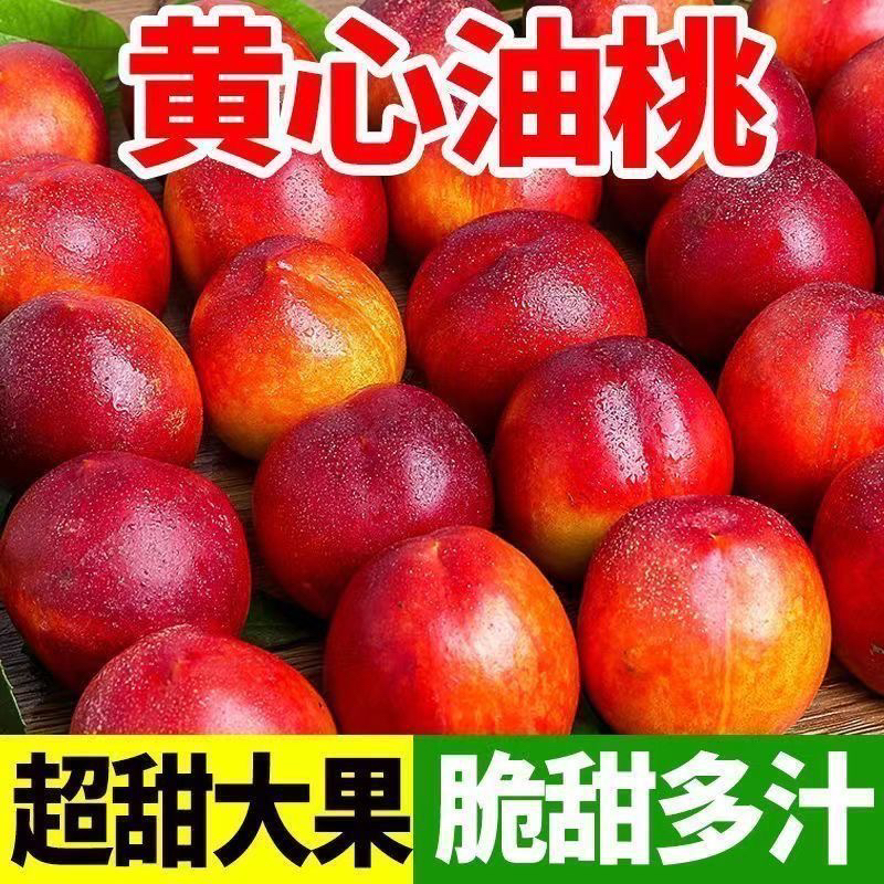 【新鲜头茬】麻脸油桃当季新鲜整箱黄心油桃孕妇脆甜桃子非蜜桃