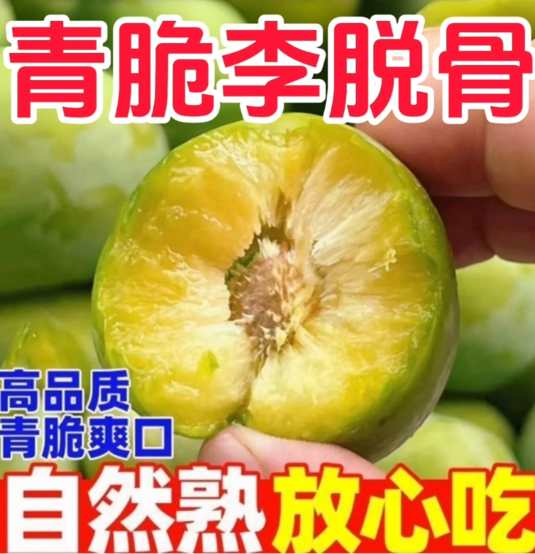 正宗新鲜农家青脆李脆酸甜多汁新鲜水果包邮