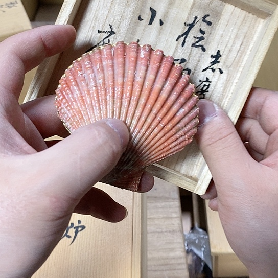 紫砂哈哈哈哈哈哈哈哈