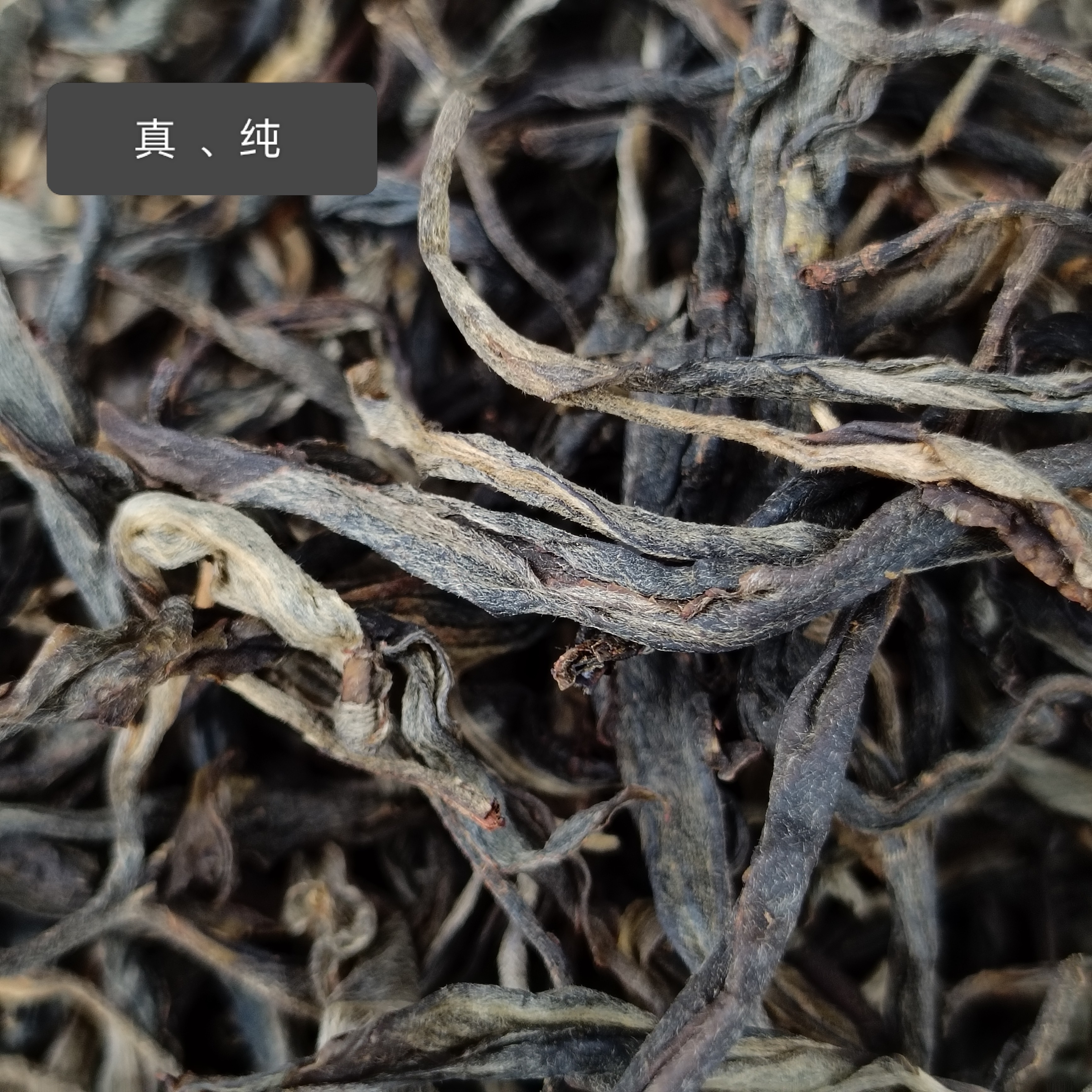 大高货【懂的拍】正宗【冰岛南迫】2021年纯古树头春散茶·可私人订制