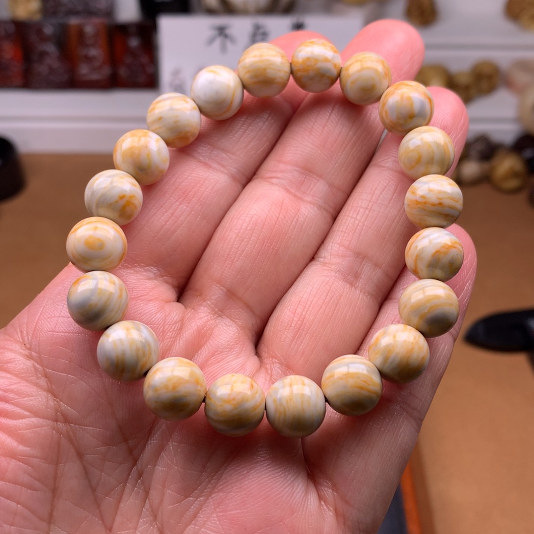 驼骨其他 天天都在盘  10
