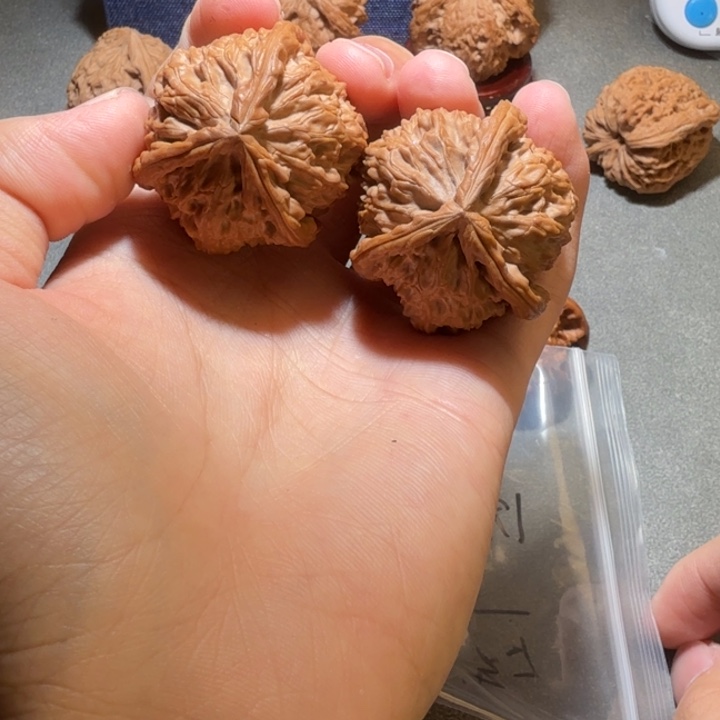 吊坠文玩核桃白狮子奔