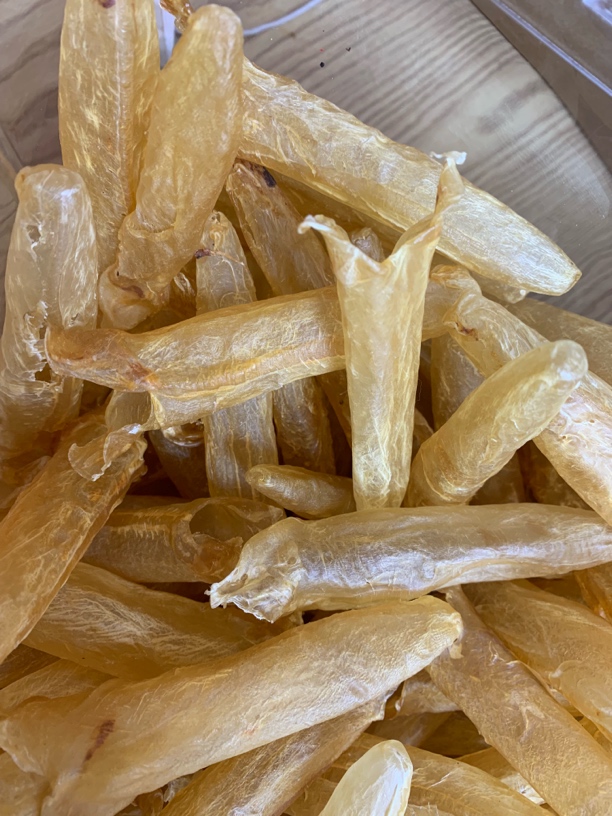 【蚝西施专线】黄花筒鱼胶包邮