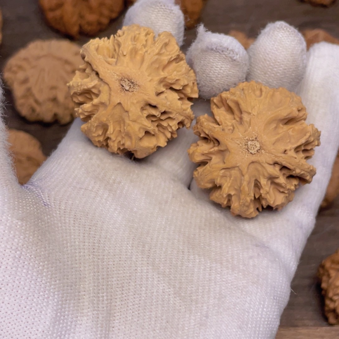 文玩核桃吊坠2 秦岭灯笼野生小众