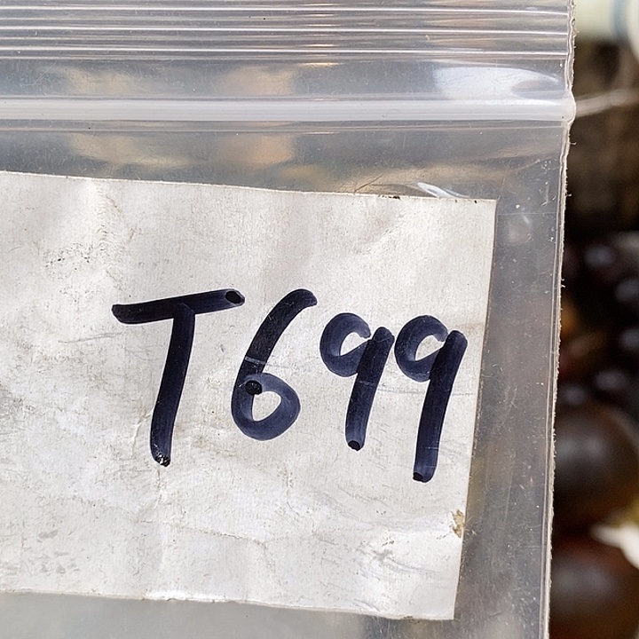 山***经德宝文玩专属链接