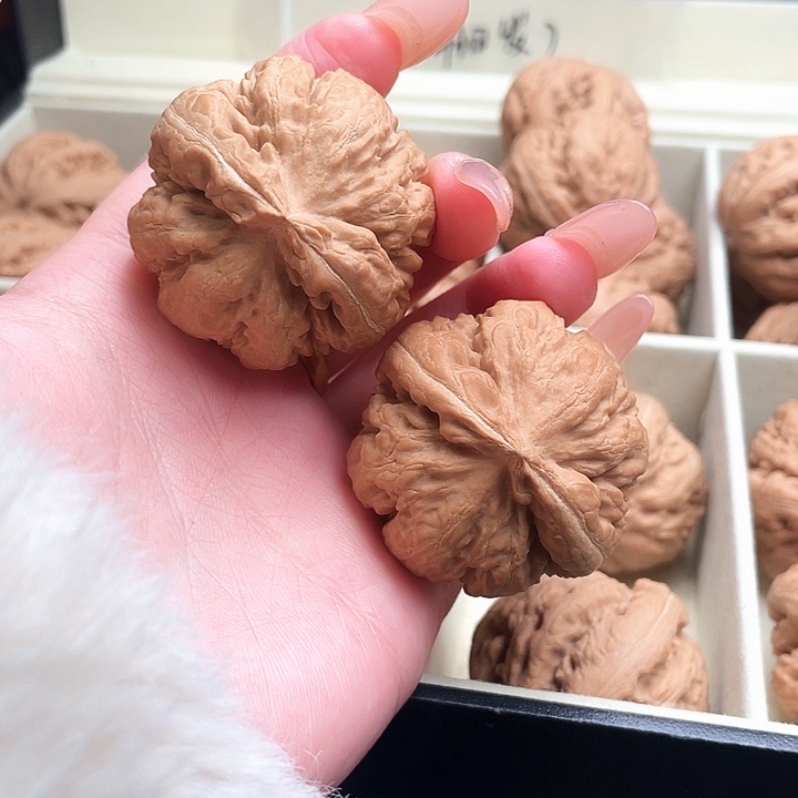 用***8霸王龙核桃尺寸42