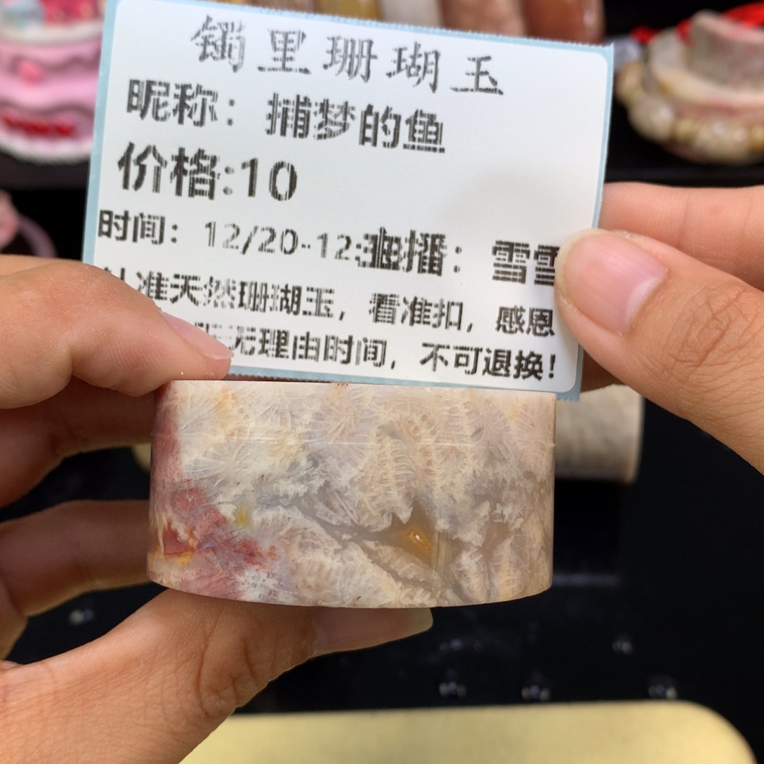 捕***鱼硅化珊瑚（珊瑚玉）未镶嵌吊坠(赠链)