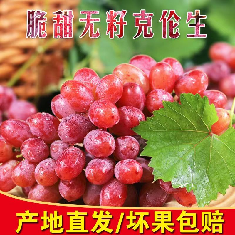 顺丰/京东【克伦生葡萄提子】新鲜头茬克伦生小糖豆克伦森瑞森红提