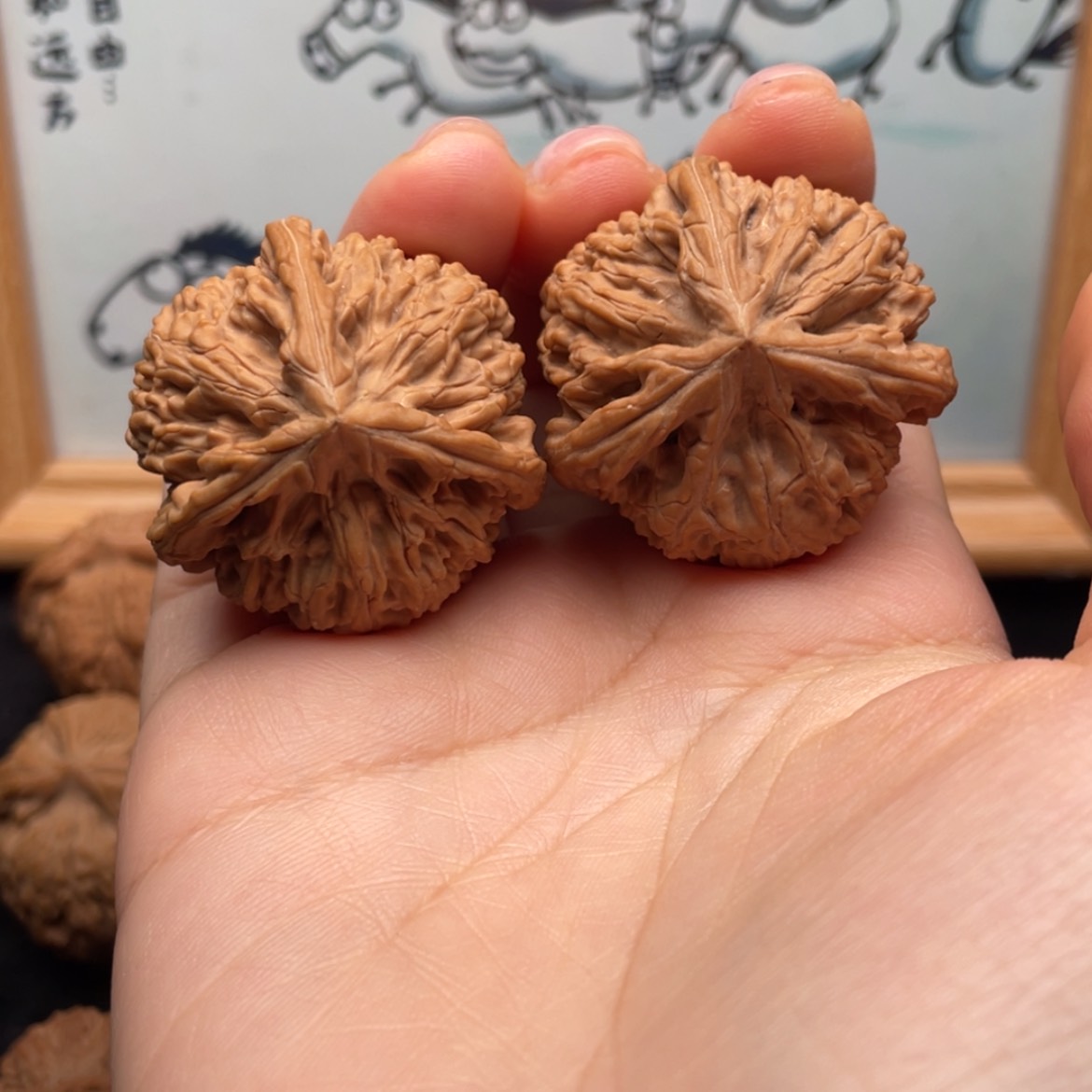 【闪购商品】文玩核桃把件36全品文山三棱