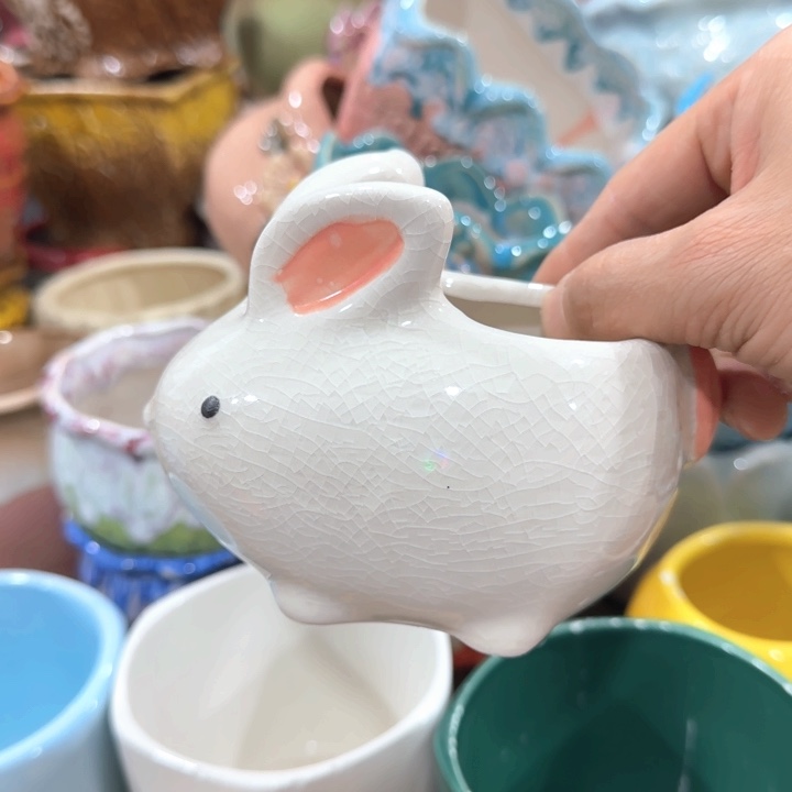 不清楚问客服凑9块包邮