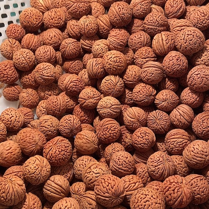 蔡***凡吊坠文玩核桃24尺寸桃核13粒