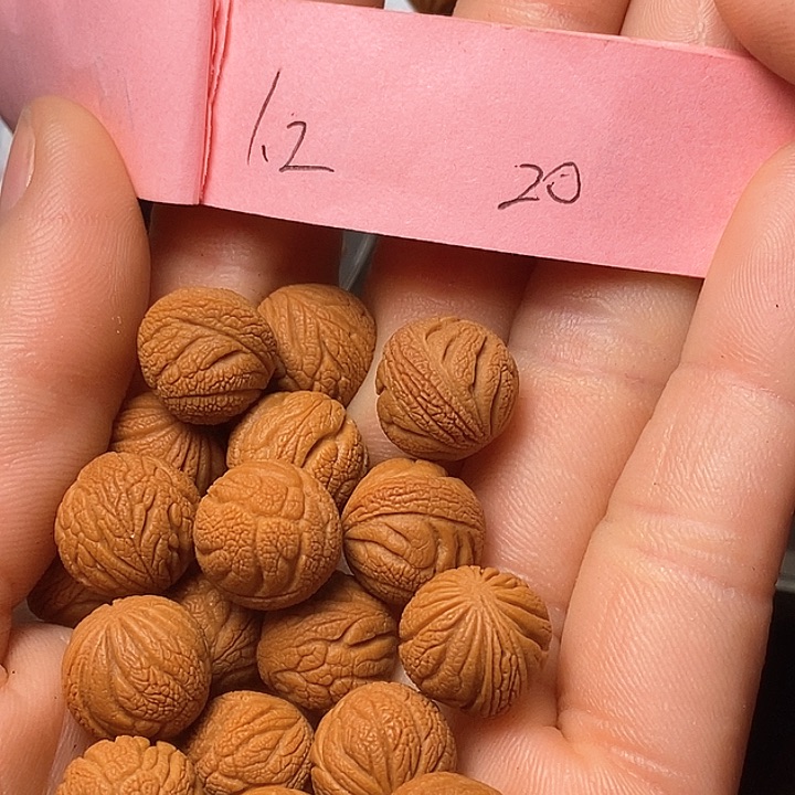 吊坠桃核陕西秦岭山桃核