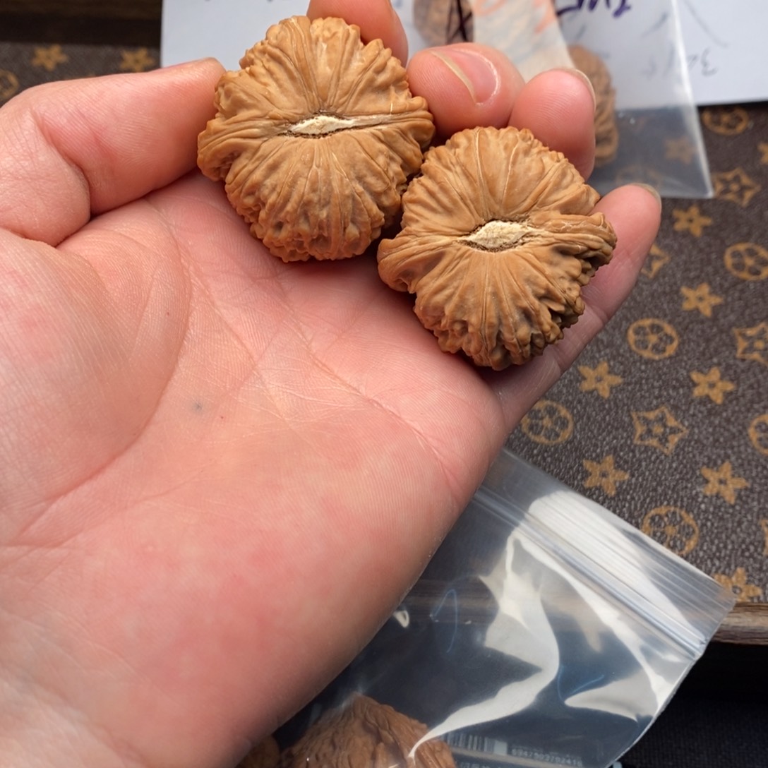42全品卡姿兰白狮子头