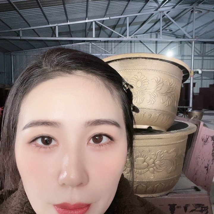 圆70口径花盆两个