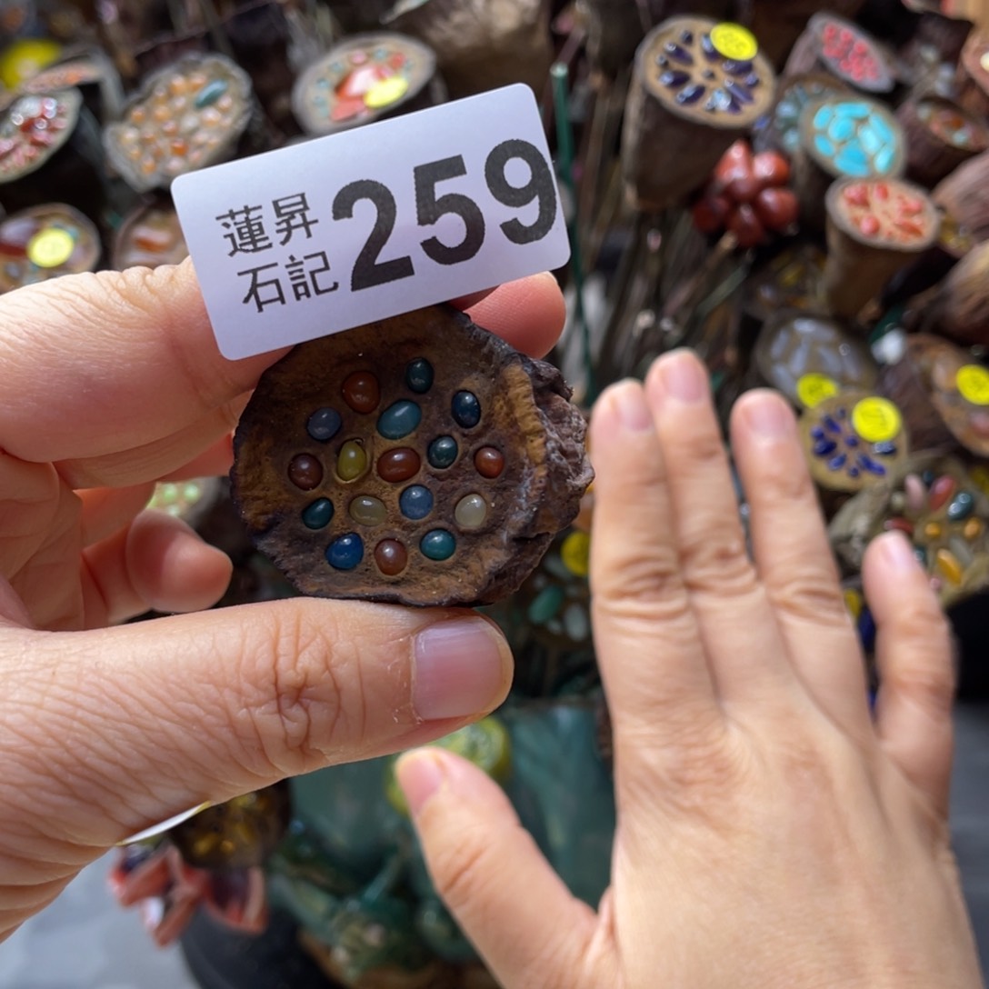 核桃木/黑胡桃（胡桃木）莲*.259