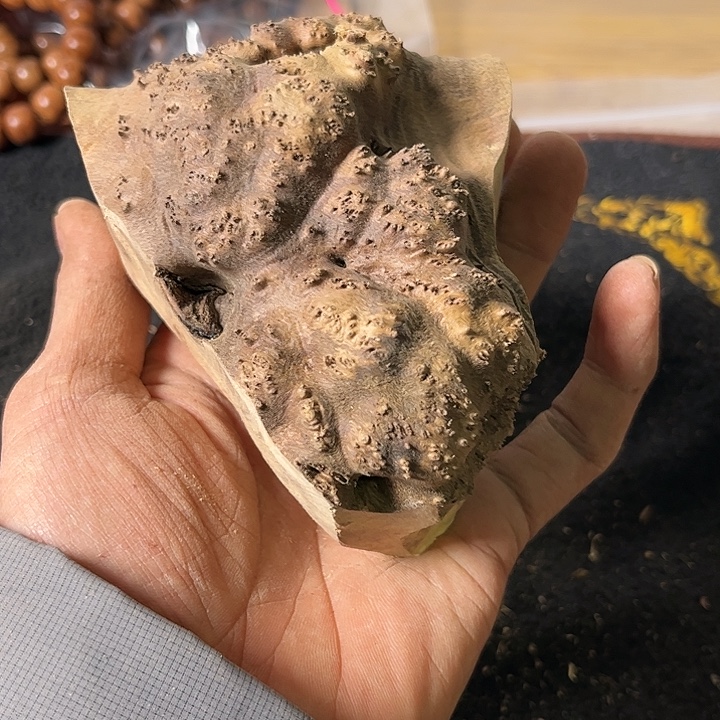 南***哥香榧木我是一只小小鸟地域鬼的