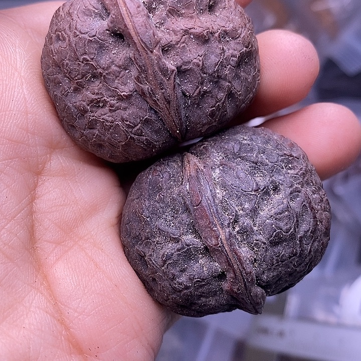 文玩核桃吊坠   206