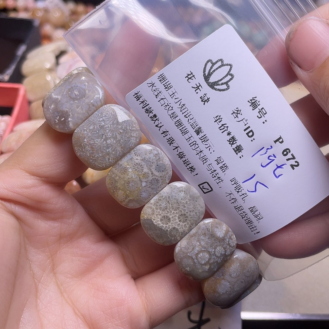 阿***月未镶嵌手镯硅化玉