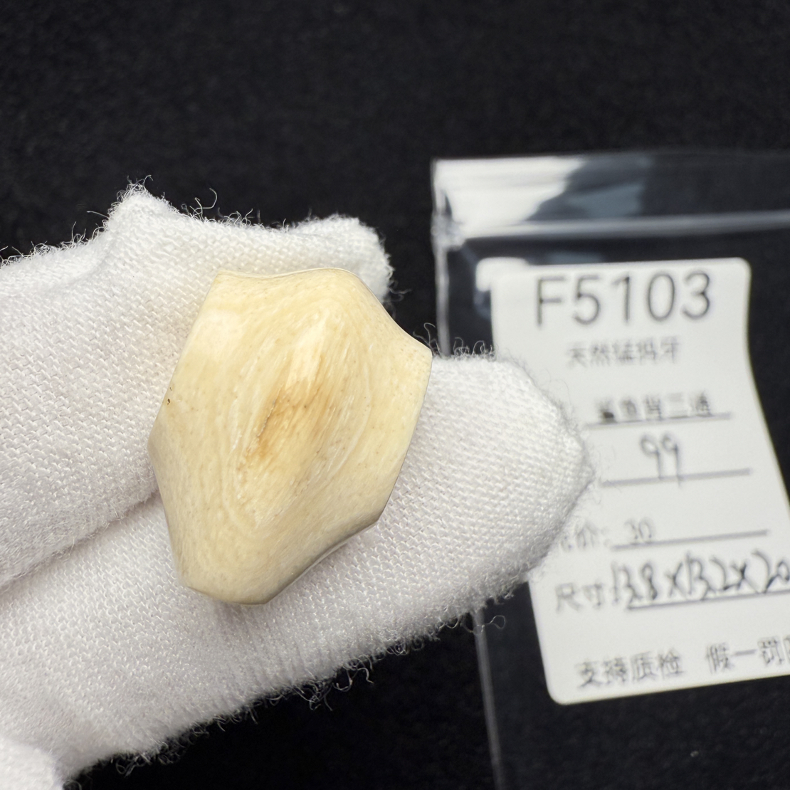F5103猛犸象牙鲨鱼背一体三通冰料果冻料13.8*13.2*20mm