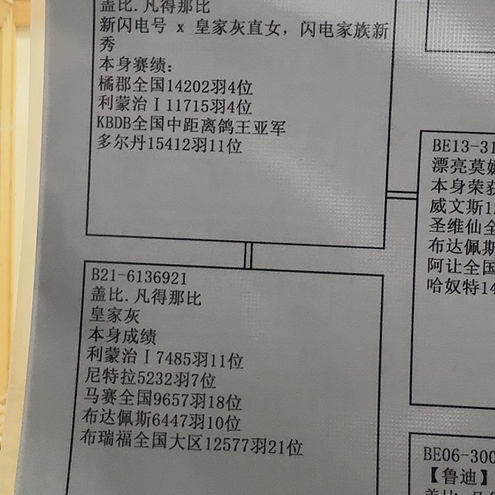 血统书血统书血统和