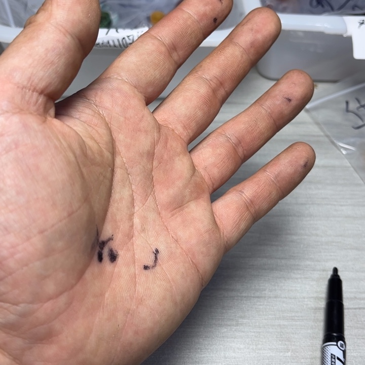 手工艺品琉璃不二