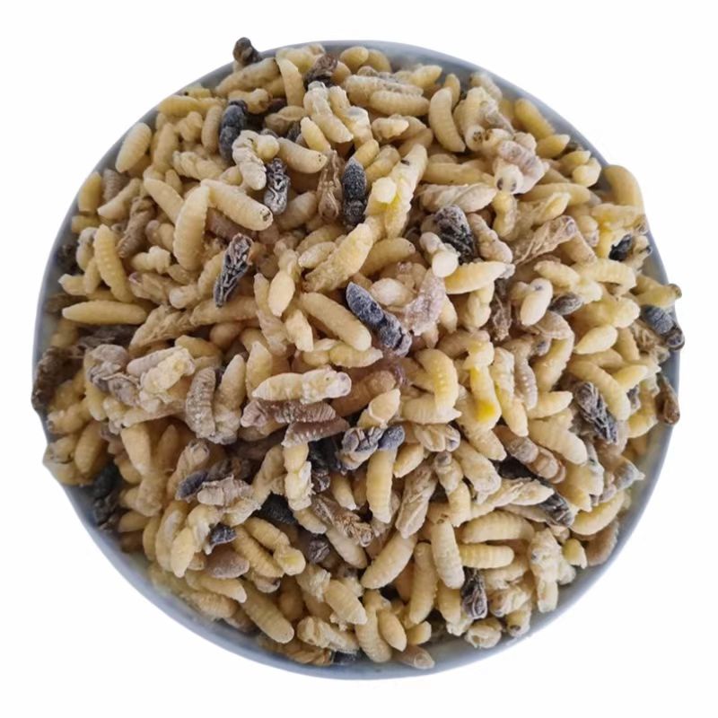 混装树蜂冻蛹(有内脏)