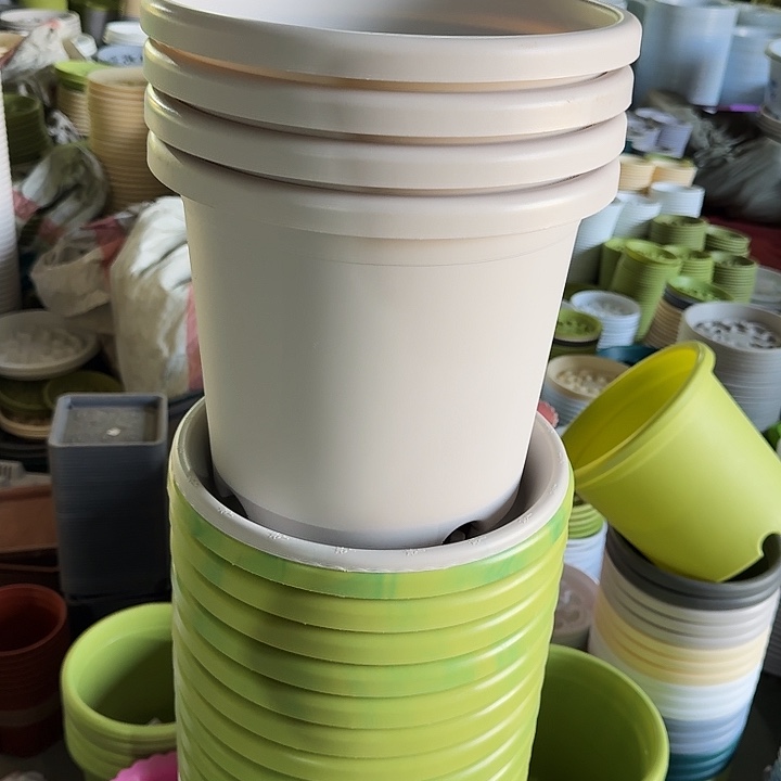 四季5#口径29灰白10个无托