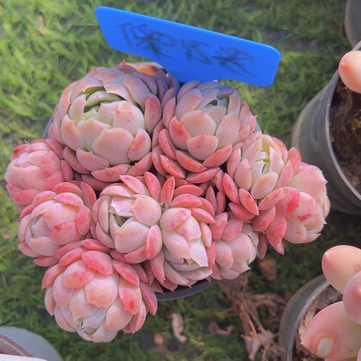 健健康康平平安安