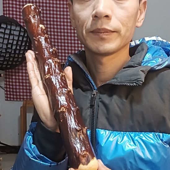 太行山北对节短棍，